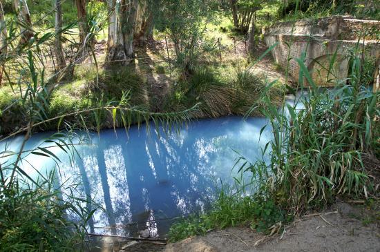 Baños de la Hedionda
